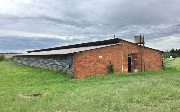Poultry Housing, Situation, Direction and Dimension