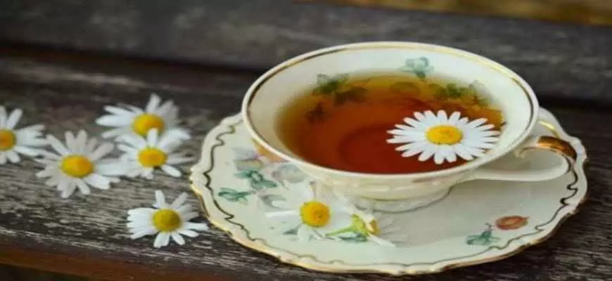 chamomile tea dry
