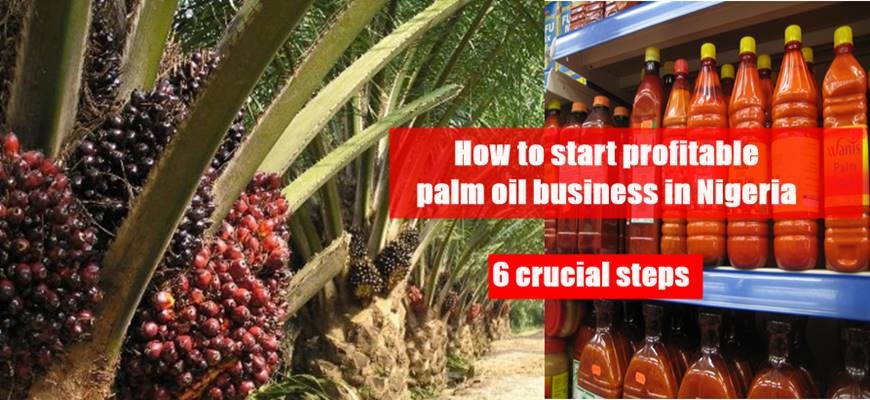 How to start profitable palm oil business in Nigeria: 6 crucial steps