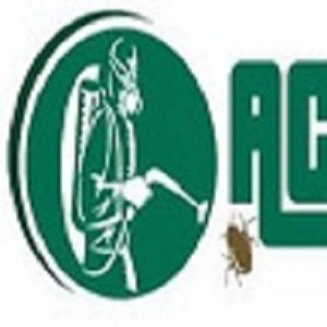 Pest Control Sydney - Active Pest Control Management