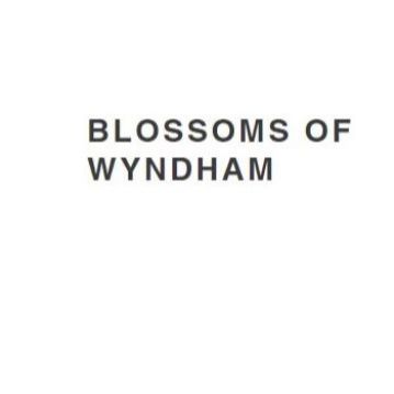 blossomofwyndham